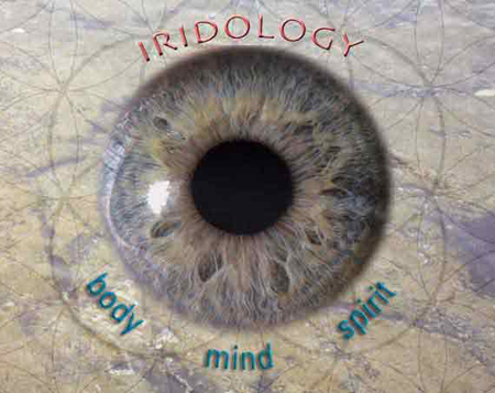iridologia 04