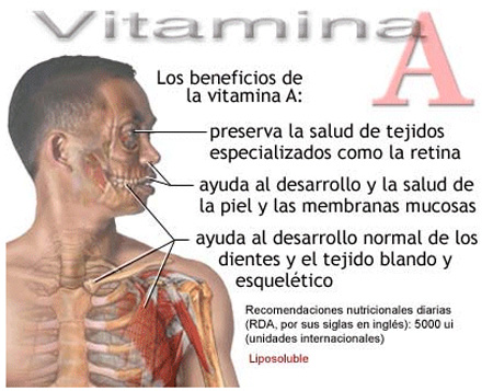 vitamina A 01