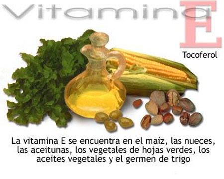 vitamina E 01