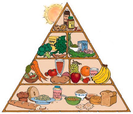 piramide alimentaria vegetariana